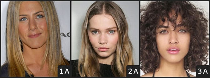 Type 1 Hair Type 1 Hair